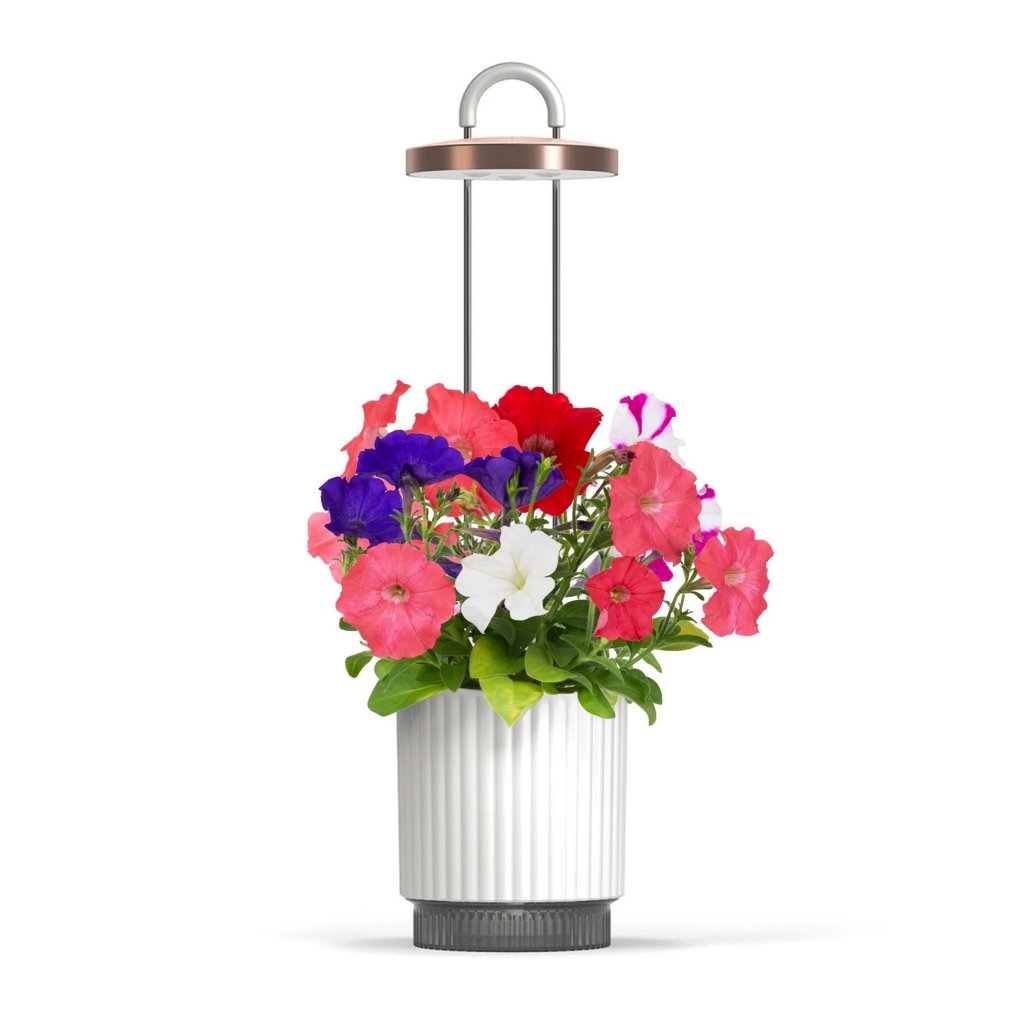 Click and Grow - HydroVase - Valkoinen