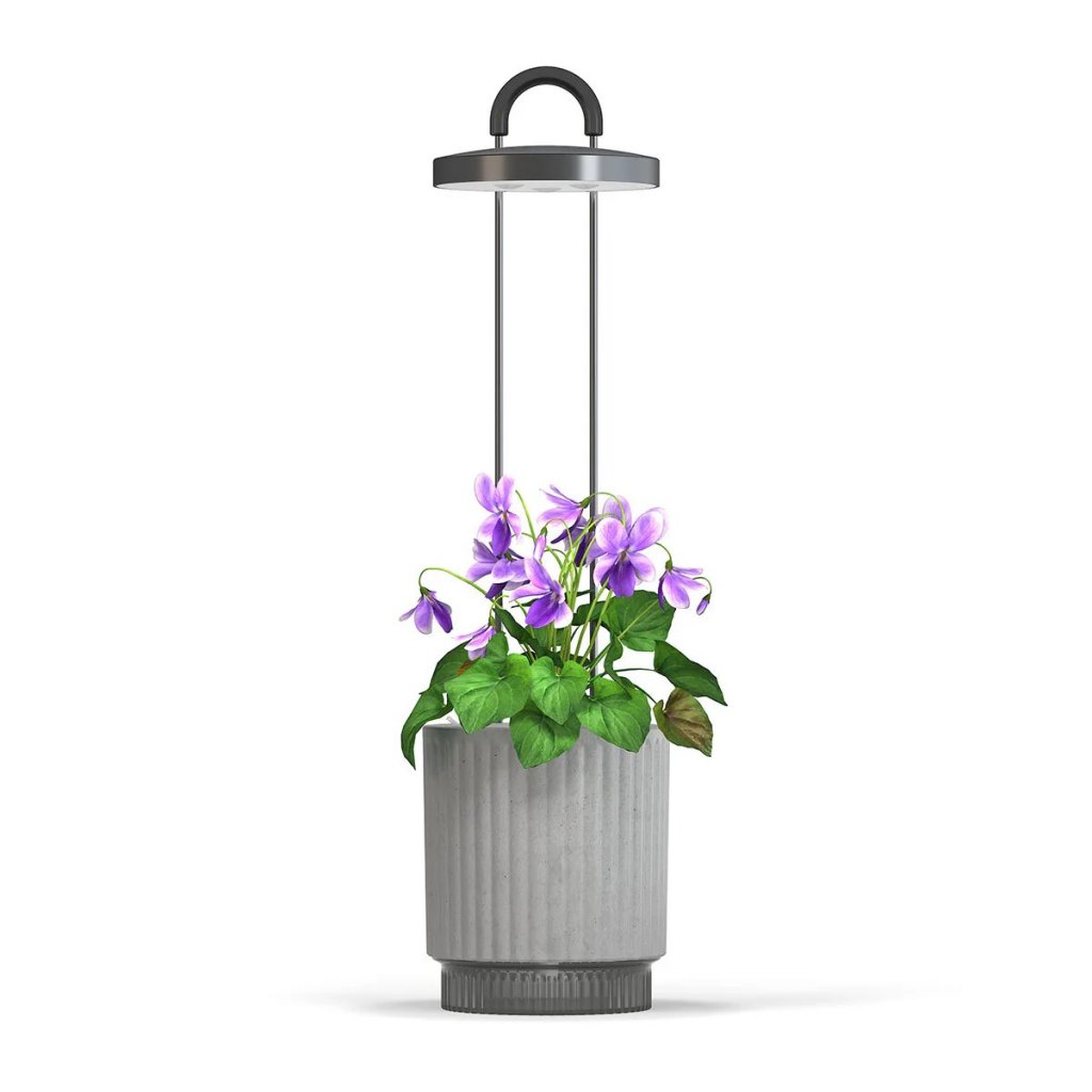 Click and Grow - HydroVase - Harmaa