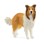Schleich - Farm World - Collie (13998)