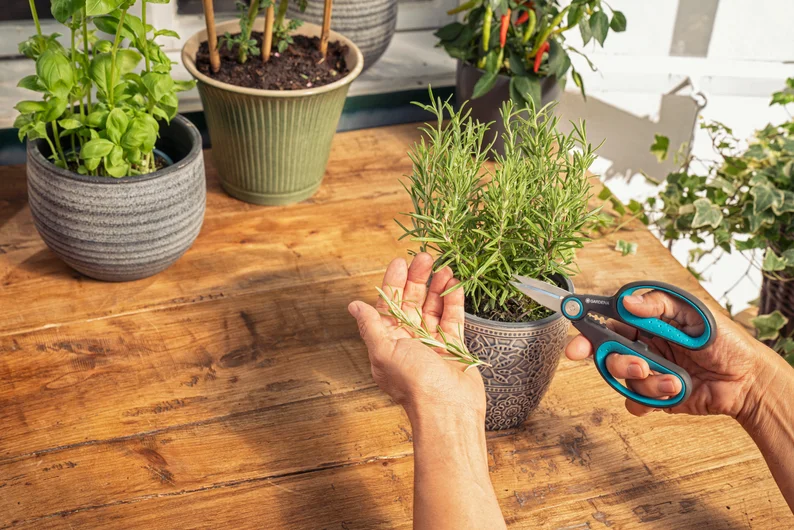 Gardena HerbCut urtesaks