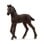 Schleich - Friesian Foal (13977)