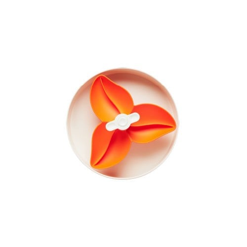 SPIN - Starter kit - Interactive Feeder Bourgainvillea - Orange - Easy