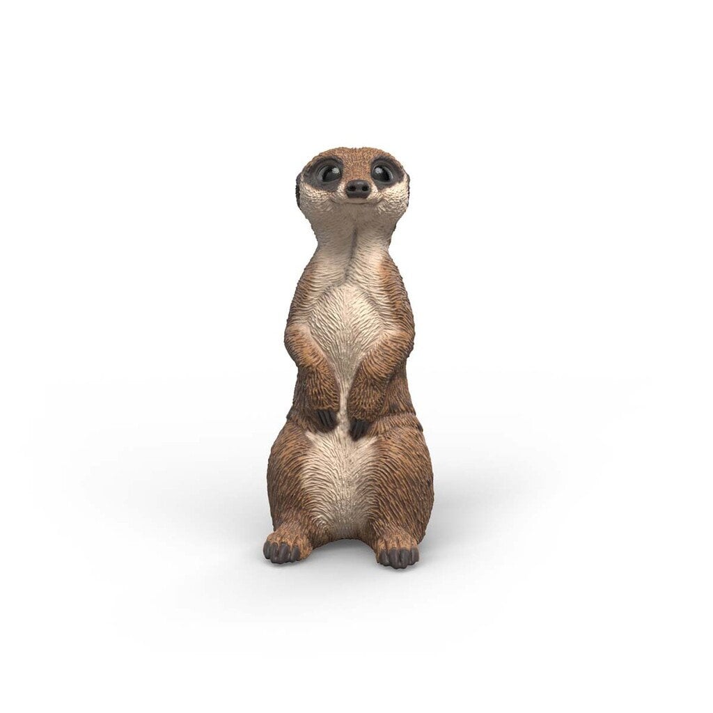 Schleich - Wild Life - Meerkat