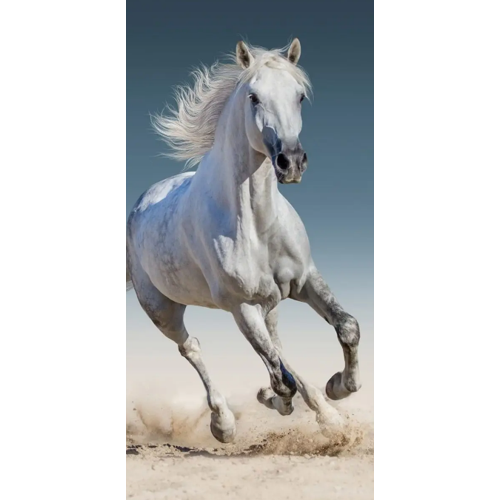 Towel - 70 x 140 cm - Horse (1100339)