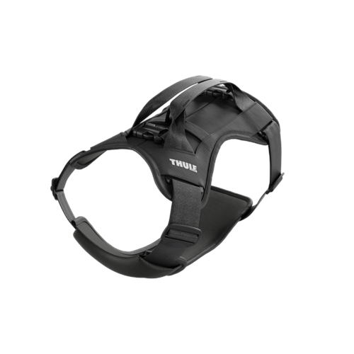 Thule - Cappy - Car Harness - M - up to 22,5kg