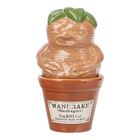 Harry Potter - Mandrake and Plant Pot Salt and Pepper Shakers
