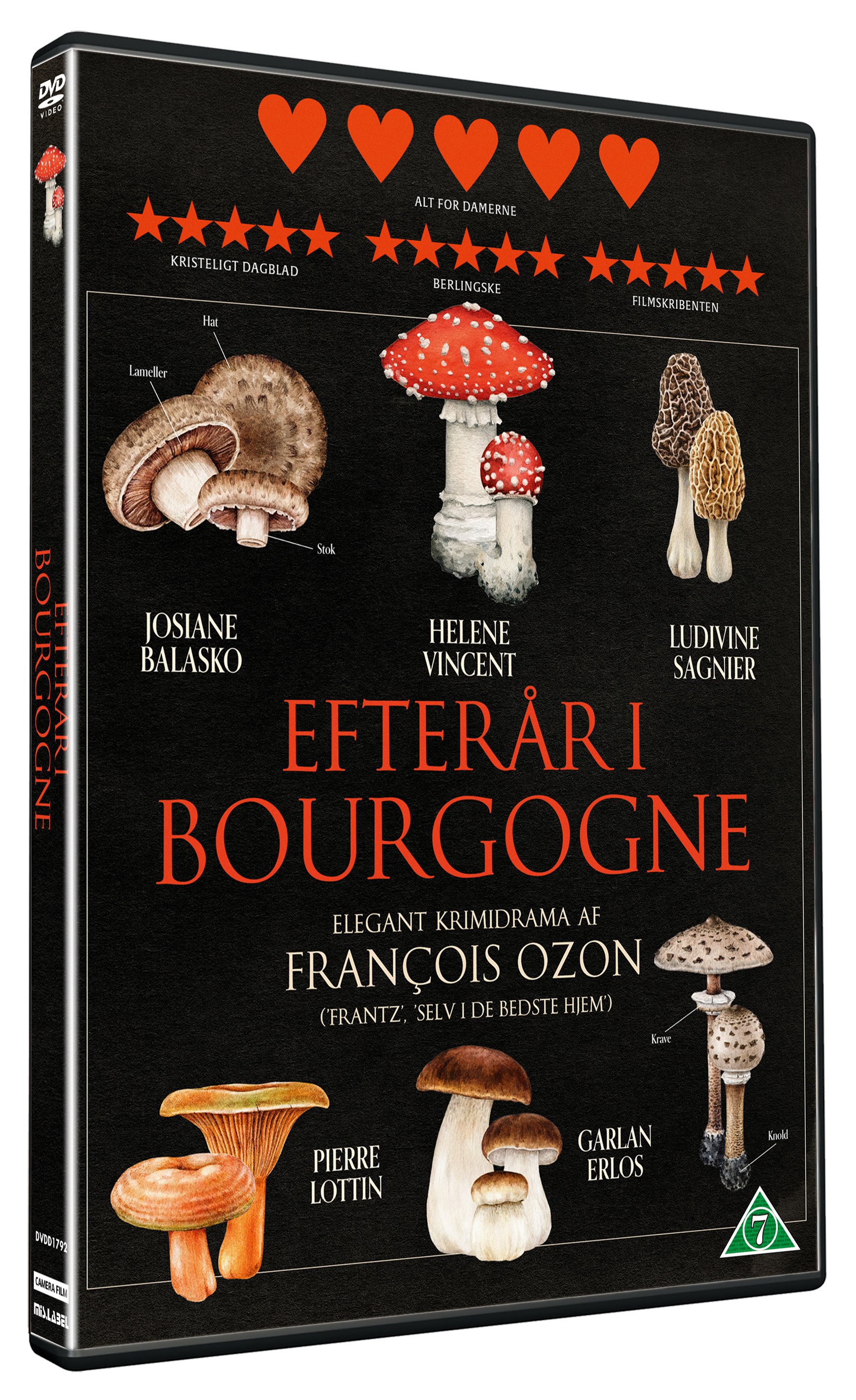 Efterår I Bourgogne