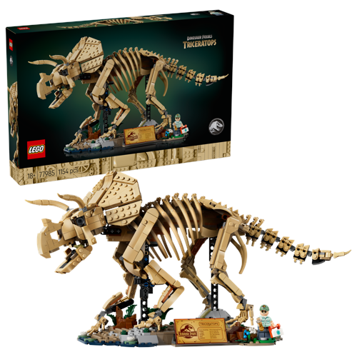 Dinosauriefossiler: triceratops