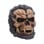 Nemesis Now - Hall Of Horrors - Werewolf Skull