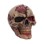Nemesis Now - Hall Of Horrors - Zombie Skull