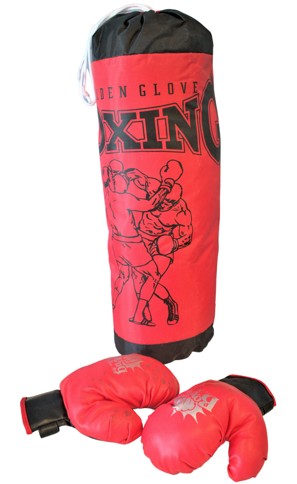 Boxing Pad with Boxing Gloves (26884)