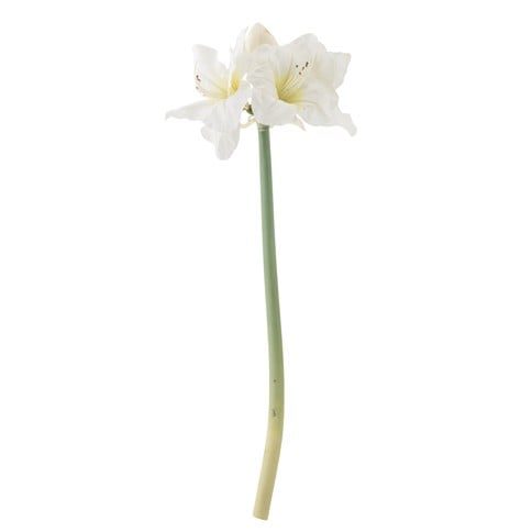 Bloomingville - Amaryllis Stem - White
