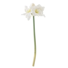 Bloomingville - Amaryllis Stiel - Weiß