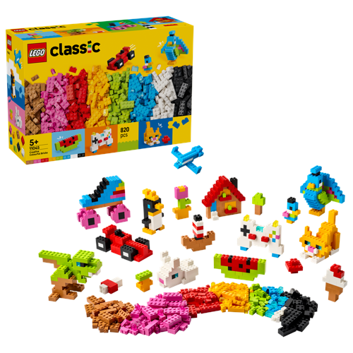 Kreativa färgglada klossar