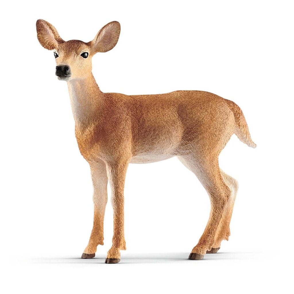 Schleich - Wild Life - White-Tailed Doe (14819)