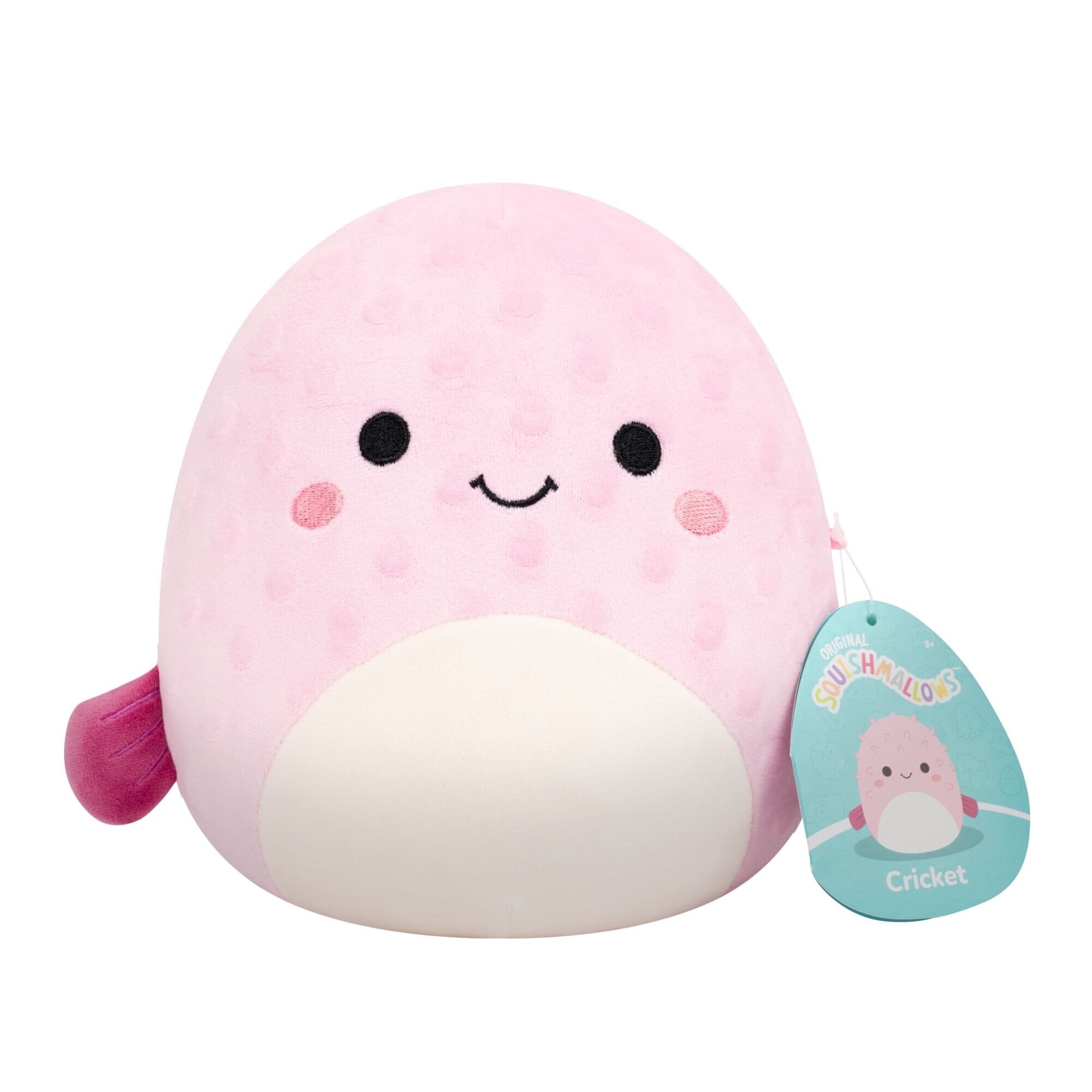 Squishmallows - 19 cm P27 Cricket