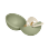 BIBS - Colour Pacifier Round Latex & Pacifier Case Mini - Ivory / Sage - Size 2