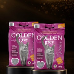 GOLDEN  2 x grey - Master - 14kg