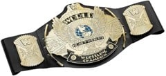 WWE - World Heavyweight Title Assorted (369-2657)