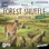 Forest Shuffle: Dartmoor – Exmoor