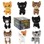 Warrior Cats - Mini Mystery Plush 15 Cm Asst. (359-107100)