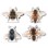 Kikkerland - Magnetic Bookmarks - Bee