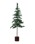 House Doctor - Christmas Tree - HDPine - Green