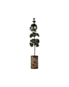 House Doctor - Christmas tree HDPine - Green - tabletop
