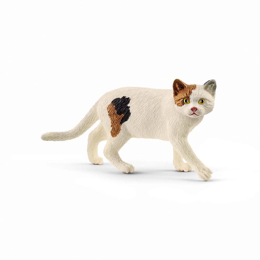 Schleich - Farm World - Amerikansk korthårskat