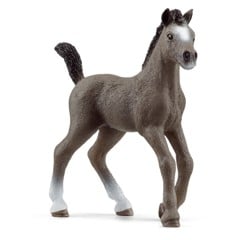 Schleich -  Horse Club - Cheval de Selle Fr. foal (13957)