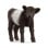 Schleich - Farm World - Galloway Calf (13969)