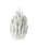POLSPOTTEN - Coral Vas 50-Tulips - Vit