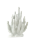 POLSPOTTEN - Coral Vas 20-Tulips - Vit