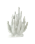 POLSPOTTEN - Coral Vase 20-Tulips - Weiß