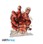 Attack On Titan - XXL Acryl - Colossal Titan