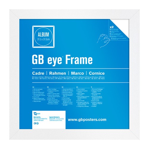 Album & Vinyl Frame