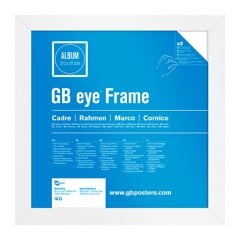 Album & Vinyl Frame - White