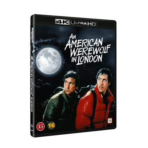 American Werewolf in London
