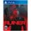 Ruiner (Import)