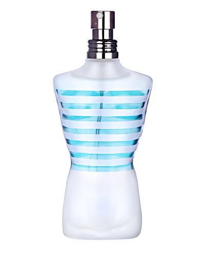 le male jean paul gaultier composition