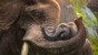 Zoo Tycoon /Xbox One thumbnail-3