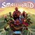 Small World thumbnail-1