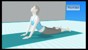 Wii Fit (Wii Fitness) Inclusive Wii Balance Board thumbnail-33