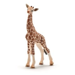 Schleich - Wild Life - Giraffe calf (14751)