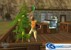 Sims 2 thumbnail-3
