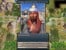 Sid Meier's Civilization® IV: The Complete Edition thumbnail-14
