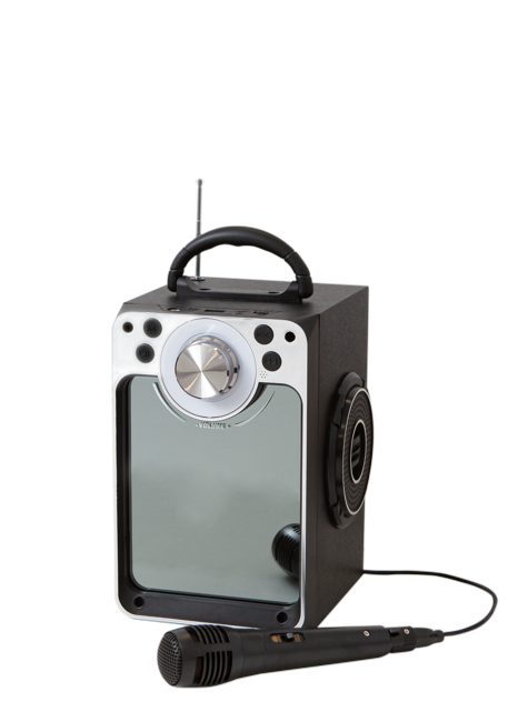 Karaoke Machine W/Bluetooth (30135)
