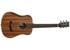Tanglewood - Winterleaf TW2 T Travel Size - Acoustic Guitar thumbnail-1