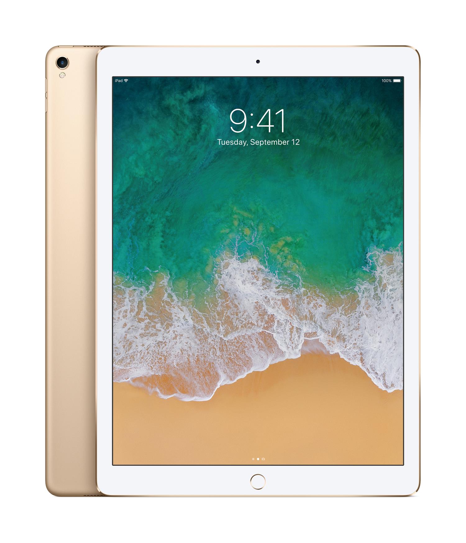 Buy Apple Ipad Pro 12 9 64gb Wifi 4g Gold 17 Included Charger