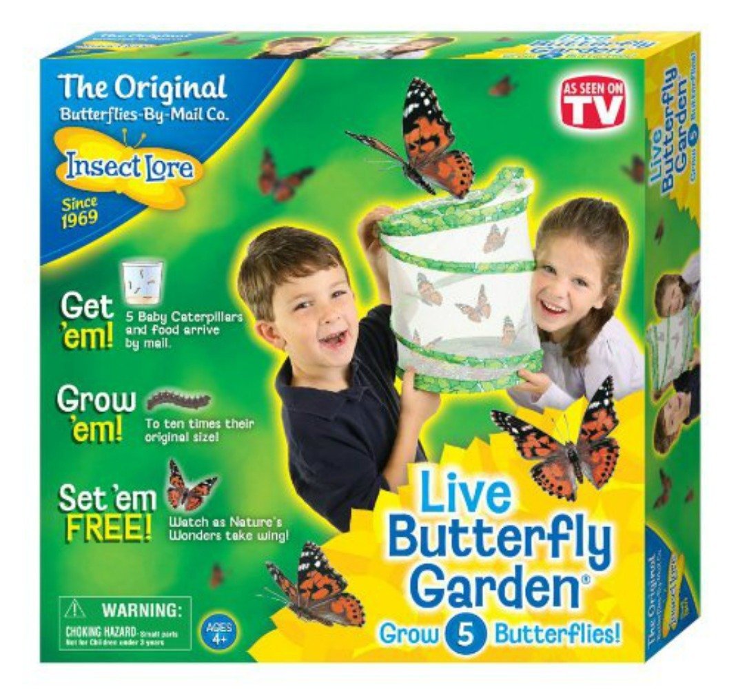 Insect Lore - Butterfly Garden (60099)
